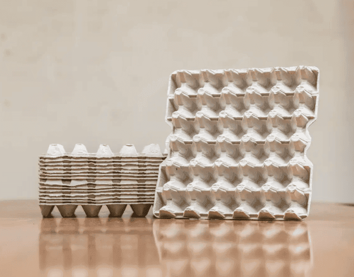 Moulded Fibre egg packaging