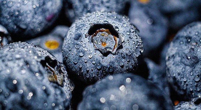 Fresh from Zimbabwe: Exploring the Global Appeal of Zimbabwean Horticultural Products