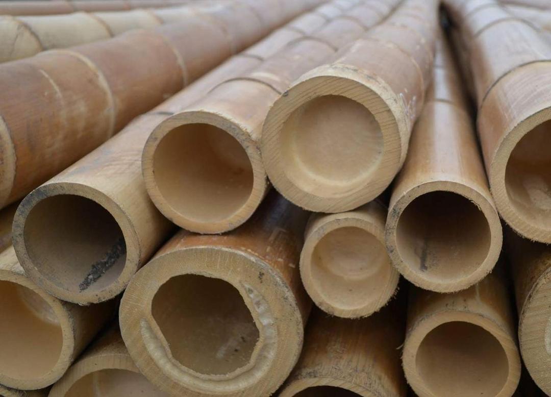 Bamboo Treated Poles